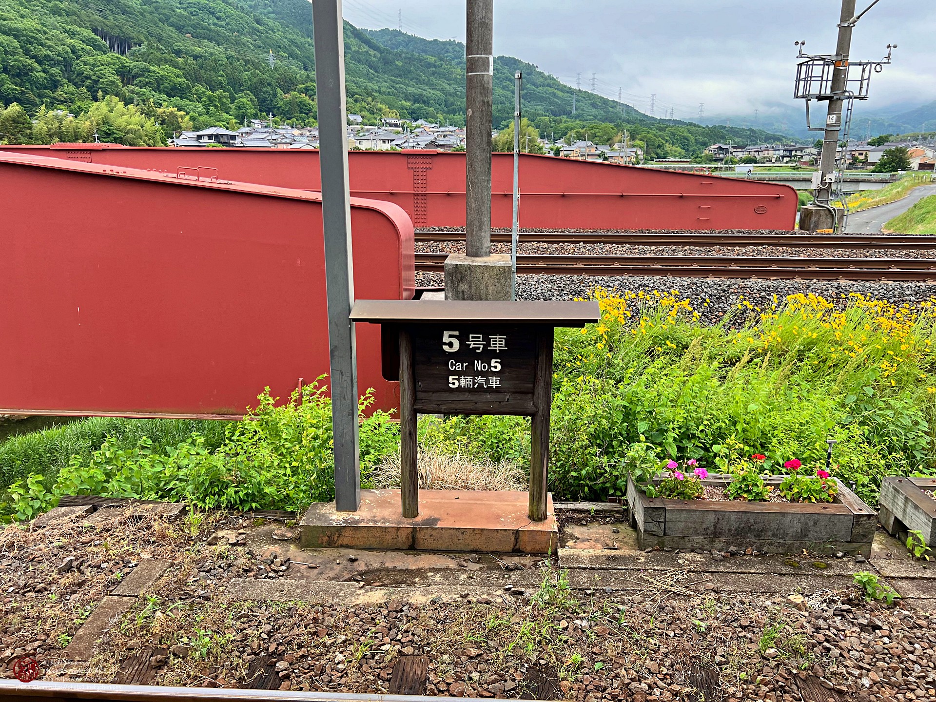 IMG_2491_縮.jpeg